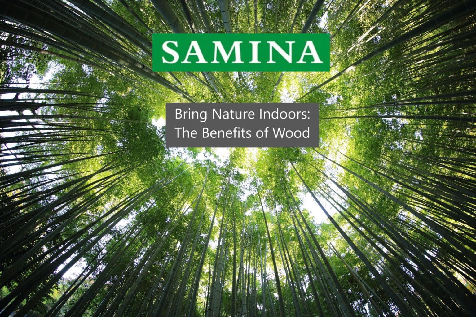 Bring Nature Indoors The Benefits of Wood