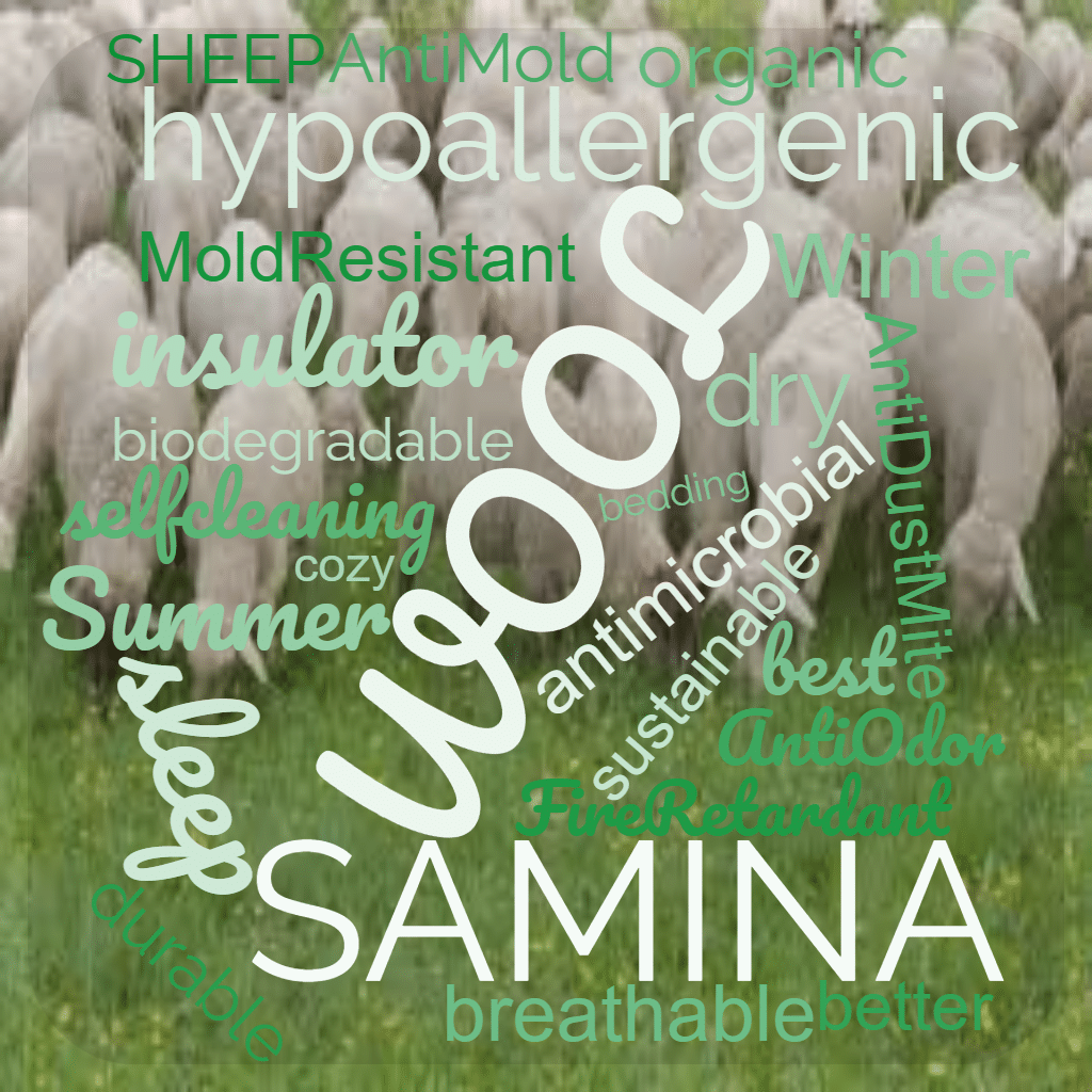 word cloud_sheep_wool_SAMINA_10 Facts about Wool Fibers